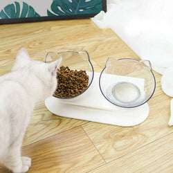 Pet Elevated Feeder